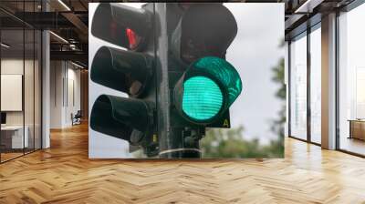 traffic light, road sign with green shape and light, indicates the right to cross the road at an intersection. The green light is an ok today also associated with saying ok go ahead! Wall mural