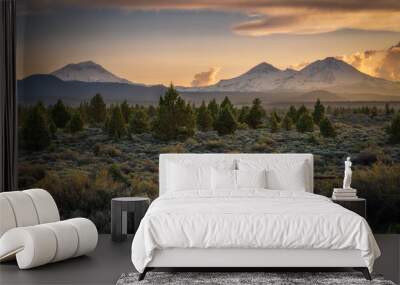 High Desert and the Mountains - Oregon  Wall mural