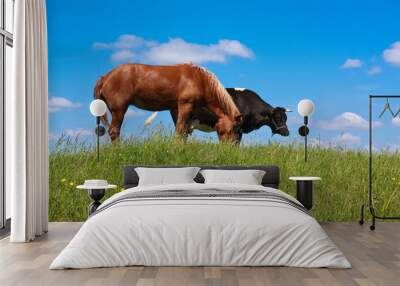 horse and cow, grazing in green meadow Wall mural