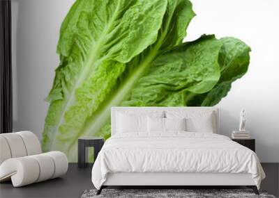 romain lettuce isolated on white Wall mural