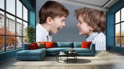 Portrait of two happy brothers on agray background Wall mural