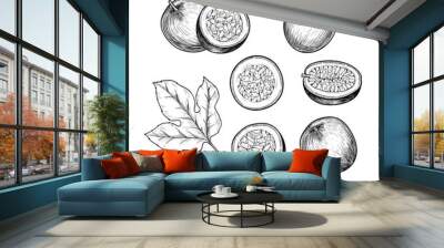 Vector passion fruit hand drawn sketch. Sketch vector  food illustration. Vintage style Wall mural