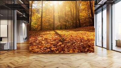 Autumn background with golden autumn leaves falling on the ground in a forest  Wall mural