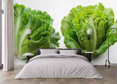 Set of Green Lettuce with leaves isolated on background Wall mural