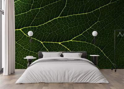 Macro photo green texture leaves background and design material. Wall mural