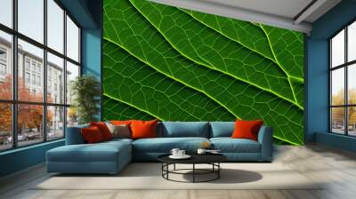 Macro photo green texture leaves background and design material. Wall mural