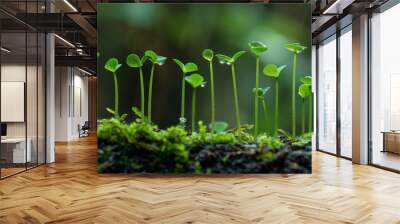 Delicate green seedlings emerge from a bed of moss, a symbol of new growth and the start of a lifecycle in a verdant forest setting. Wall mural