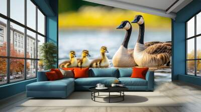 A photograph of two Canadian geese with their goslings swimming on calm water, symbolizing family, nature, and wildlife in a serene setting.
 Wall mural