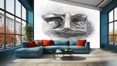 Pencil drawing of David's eyes. Art student learning the disciple, class work, training.  Wall mural