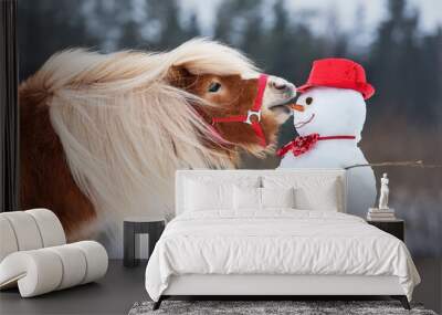 Funny miniature shetland breed pony stallion trying to eat a snowman's carrot nose. Horse in winter. Wall mural