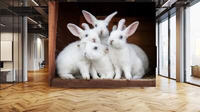 Group of little white rabbits in the hutch Wall mural