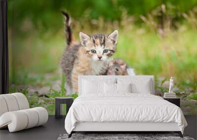 Little tabby kitten with a mouse Wall mural