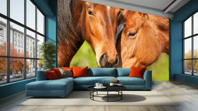 Portrait of two horses in summer Wall mural