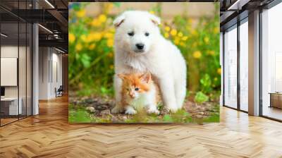 Samoyed puppy with little red kitten outdoors Wall mural