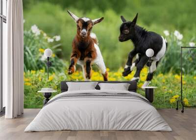 Two little funny baby goats playing in the field with flowers. Farm animals. Wall mural