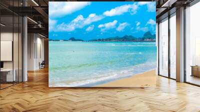 Panorama beach and sea Wall mural