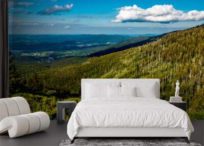 An accent of a pleasant white cloud with a spruce forest Wall mural