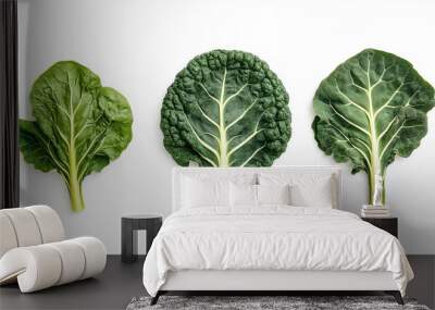 Crisp collard greens, full of vitamins and perfect for a nutritious meal. Wall mural