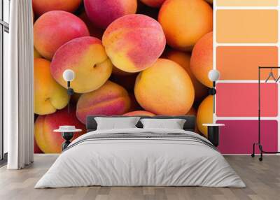 apricot background in a colour palette with complimentary colour swatches Wall mural