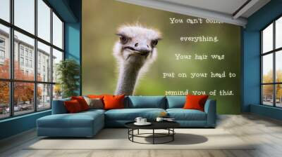 Ostrich having a bad hair day Wall mural