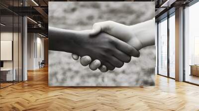 Handshake of two people in a business deal Wall mural