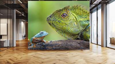 Flying Frog and Dragon Forest Wall mural