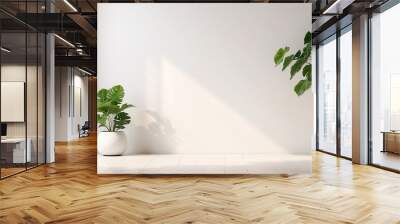 A white room with two potted plants and a window Wall mural