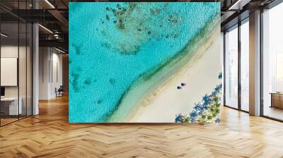 Top view in Caribbean island Paradisiacal - Cayo Sombrero - Morrocoy Venezuela. Aerial View. Wall mural