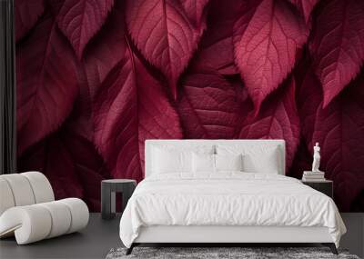 pink background Wall mural