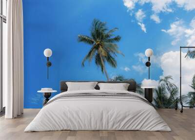 Coconut tree at the blue sky. Wall mural