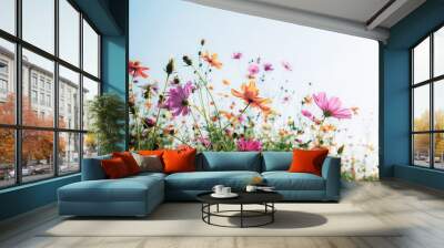 Cosmos with colorful at sunlight. Wall mural