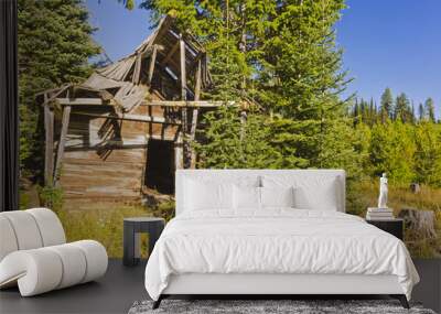 Abandoned log cabin in trees Wall mural