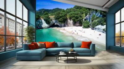 Arial view of Cathedral cove in Coromandel Peninsula, New Zealand Wall mural