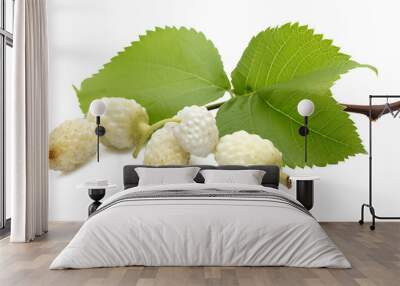 Fresh white mulberry fruit with leaves isolated on white, Transparent PNG Wall mural