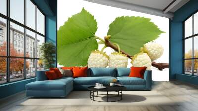 Fresh white mulberry fruit with leaves isolated on white, Transparent PNG Wall mural