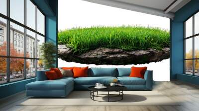 grass green circle land ground floor garden or garden earth soil land layer and green grass floor circle section land isolated on white background Wall mural