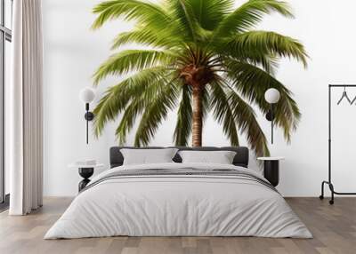 palm tree isolated on a transparent background Wall mural