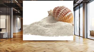 Sea shell in sand pile isolated on white, side view Wall mural