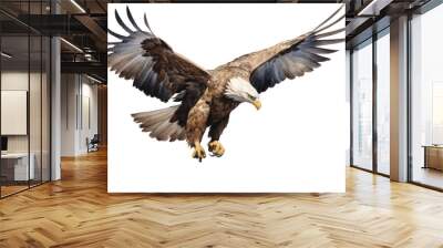 Bald eagle on transparent white background Wall mural