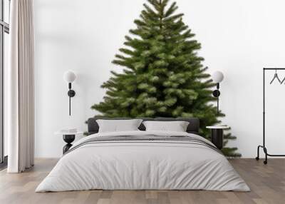 Undecorated Christmas tree isolated in transparent white background Wall mural