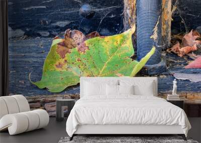 Photograph of a Fallen Leaf - Abstract Wall mural