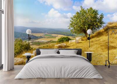 Trees, countryside and rolling hills in the Shephelah region Wall mural