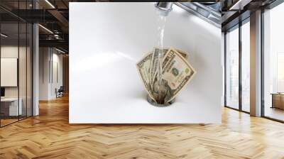 Money Down the Drain Wall mural