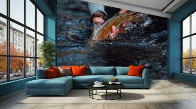 Fly Fishing Trout Wall mural