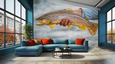 Flyfishing Trout Wall mural