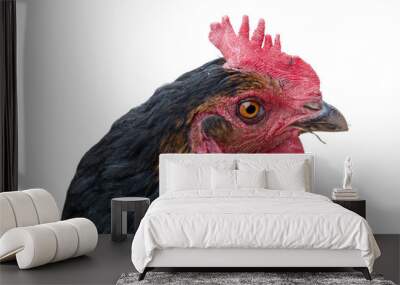 chicken head Wall mural