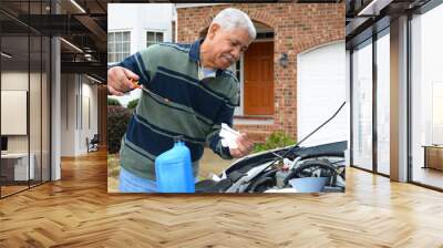 mechanic working on car Wall mural