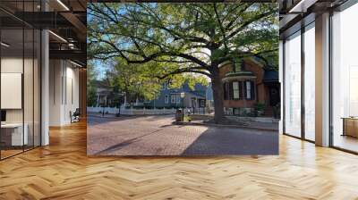 Urban Tree Canopy in historic Saint Charles Missouri Wall mural