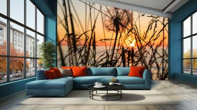 Sunset Dandelion Wall mural