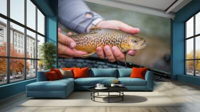 Trout Fishing Catch and Release Wall mural